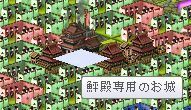 20171105003.jpg
