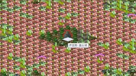 20190506002.jpg